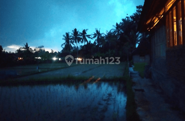 Antique Joglo Villa, Cool View of Rice Fields and Mountains  2