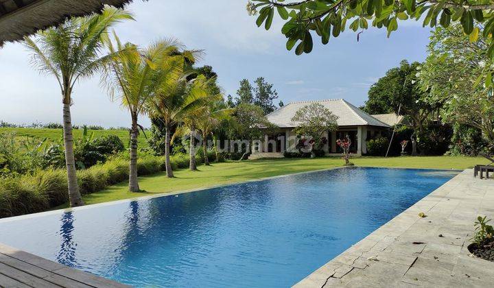 TROPYCAL VILLA WITH A CHARMING VIEW OF GREENRICE FIELDS PERERENAN 1