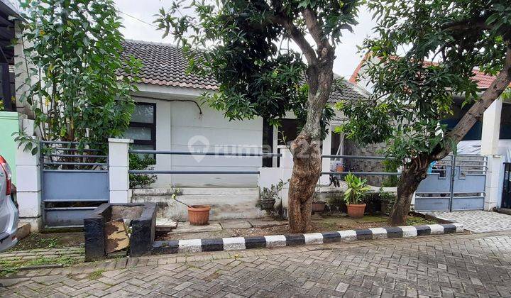 Rumah Siap Huni Babatan Pilang 1