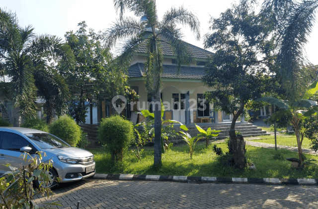 Rumah 2 lantai dengan harga nego 2