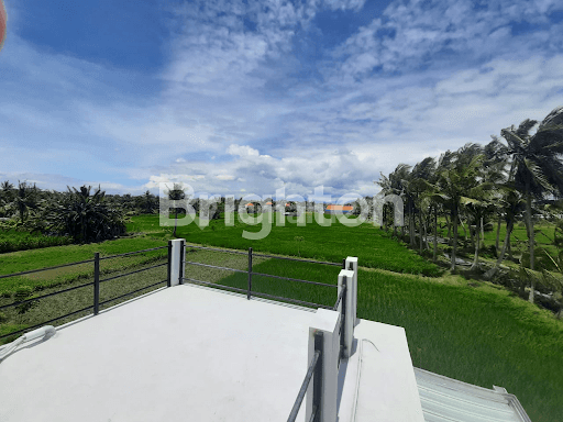 VILLA GIANYAR / 15 MENIT PANTAI SABA VIEW SAWAH 2