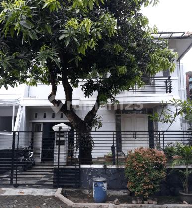 rumah minimalis 1