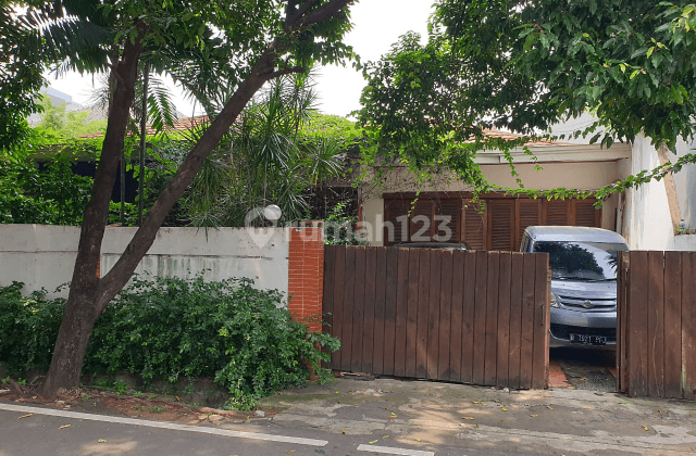 Rumah Cempaka putih bebas banjir 1