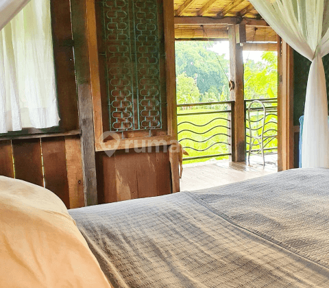 Villa Cozy Langon Lodtunduh Ubud Gianyar 2