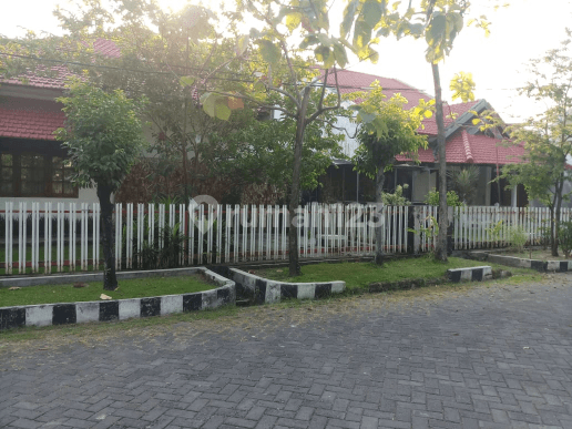 Rumah Dgn Halaman Luas