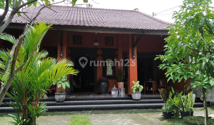 Rumah Etnik Luas Jl Godean Yogyakarta 1