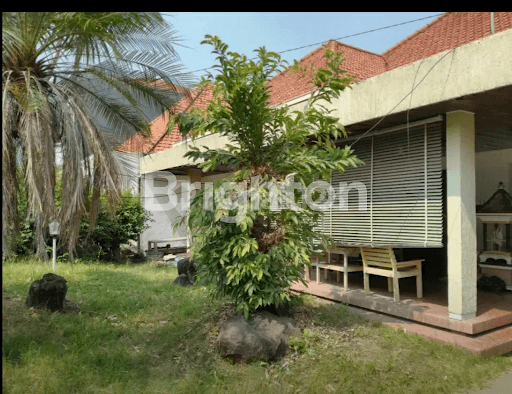 BLAMBANGAN PUSAT KOTA TERAWAT DAN SIAP HUNI 1