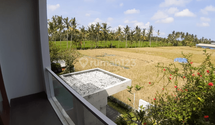 At the luxury villa with a view of Ubud's rice fields 2