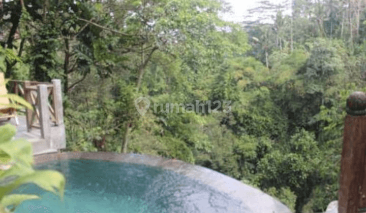 Di  villa Los sungai Petanu View jungle and River Ubud 2