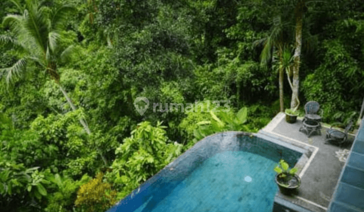 At the villa Los Sungai Petanu View jungle and River Ubud 1