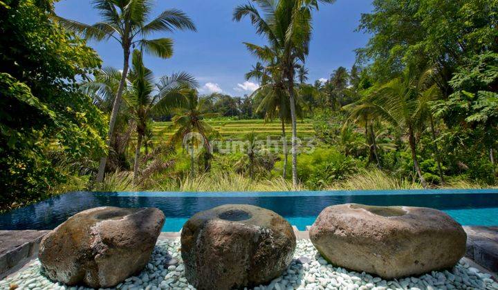 LUXURIOUS VILLA FULL VIEW JUNGLE &amp; RICEFIELD IN SOUTH UBUD 2