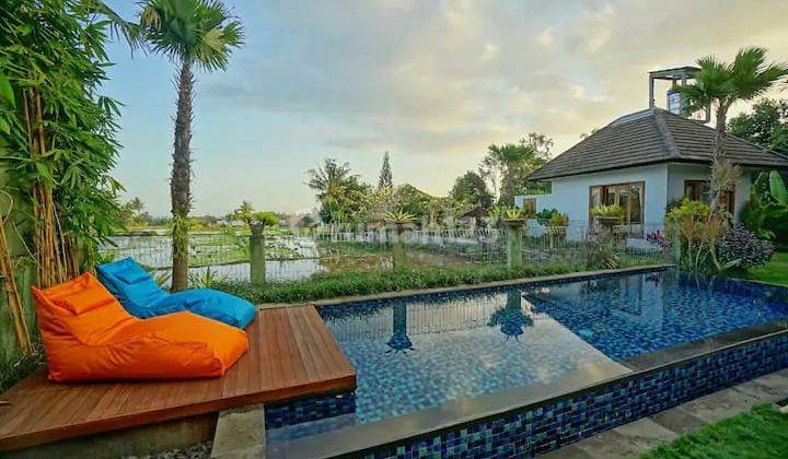 MODERN VILLA WITH RICE FIELD VIEW UBUD 1