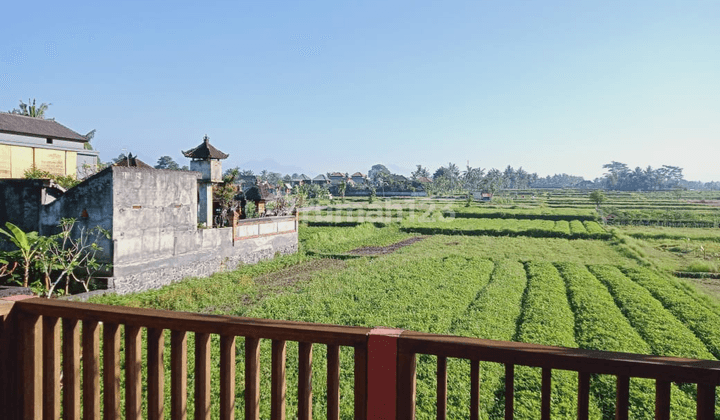 At Villa Classic Ubud View of rice fields 1