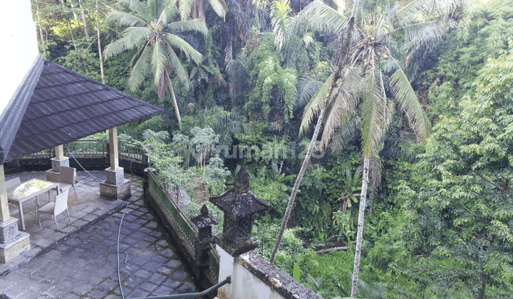 Di  Villa Tegalalang _UBUd 2