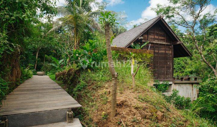 Complex Villa  Located in Keliki Ubud 2