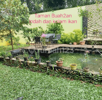 BSD Taman Telaga Golf Dgn good gardening dan 2 kolam ikan koi 2