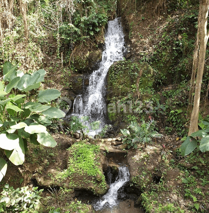 At the Waterfall View Villa Complex 2