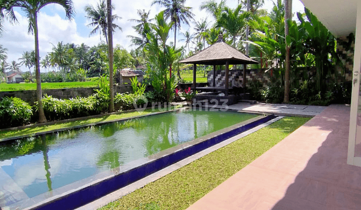 In a luxury Ubud villa 1