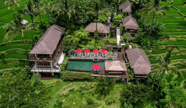 DROP PRICE..Luxurious and Beautiful Freehold villa with Jungle velley , Rice Field and Mountain view at Payangan Ubud, Gianyar Bali 2