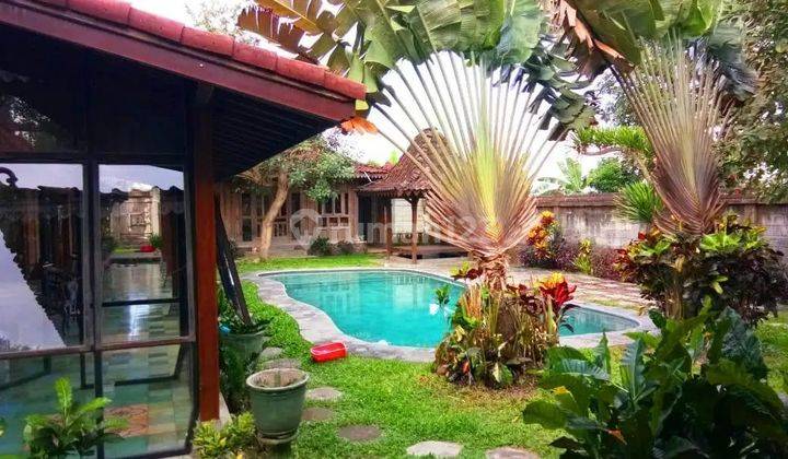 Rumah Joglo Etnik Luas Kolam Renang Pribadi 2