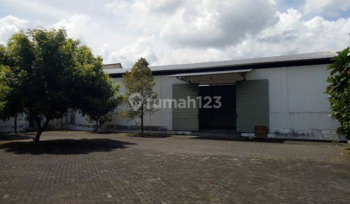 Rumah, Gudang, dan Tanah di Wlingi Blitar GMK00209 2