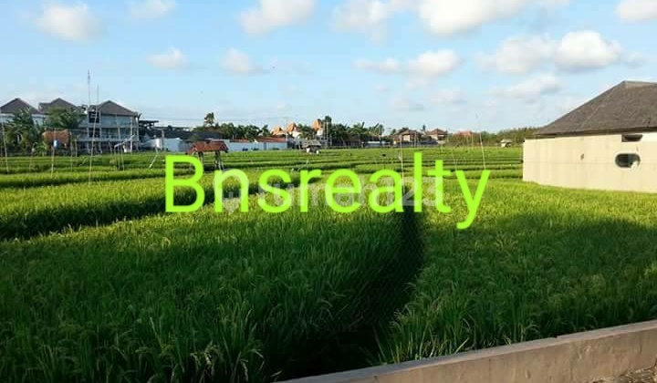 Villa Jual Lokasi Berawa