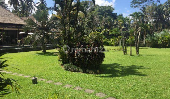 MASSIVE GARDEN VILLA IN PAYANGAN UBUD 1