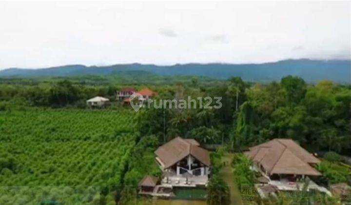 Villa front beach siap huni dekat lovina 2