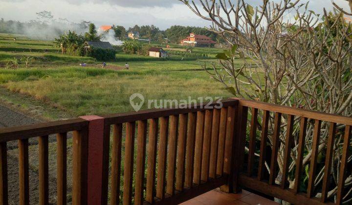 For sale villa near Monkey Forest Ubud 2