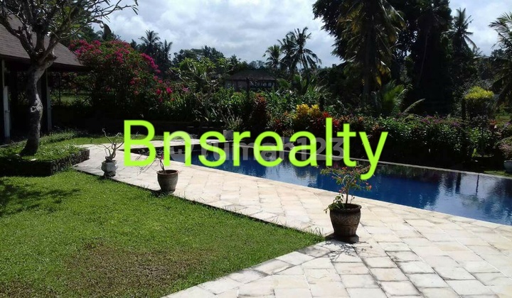 Villa For Sale in Ubud Location 2