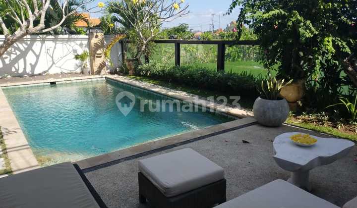 Open Rice Field View Villa in Pererenan