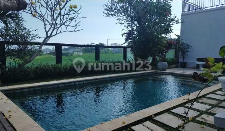 Open Rice Field View Villa at Pererenan 2