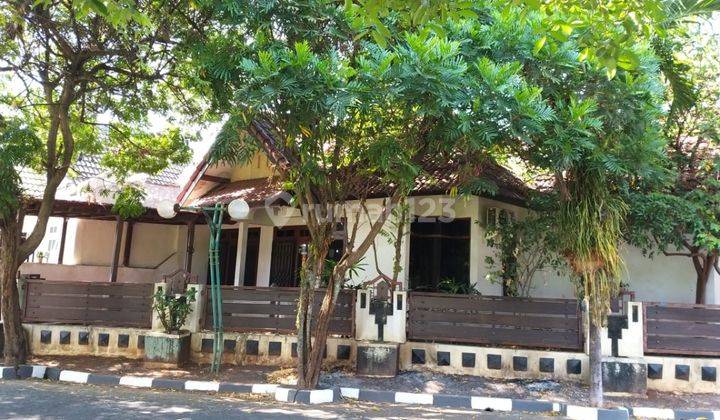 Rumah Area Tembalang Undip Dijual 2