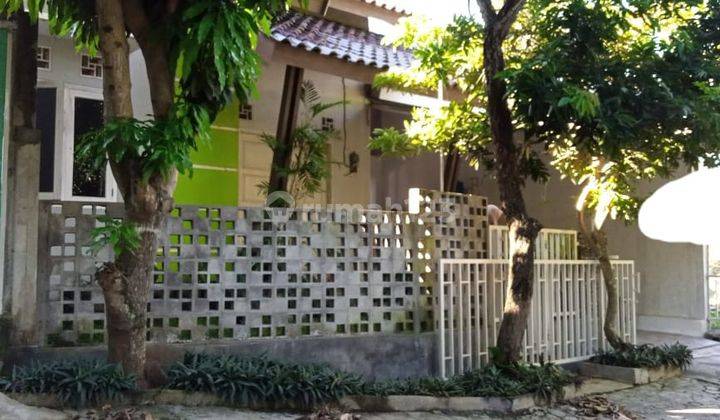 Rumah asri dekat UNDIP Semarang, bisa dikembangkan jadi Rumah Kost. 1