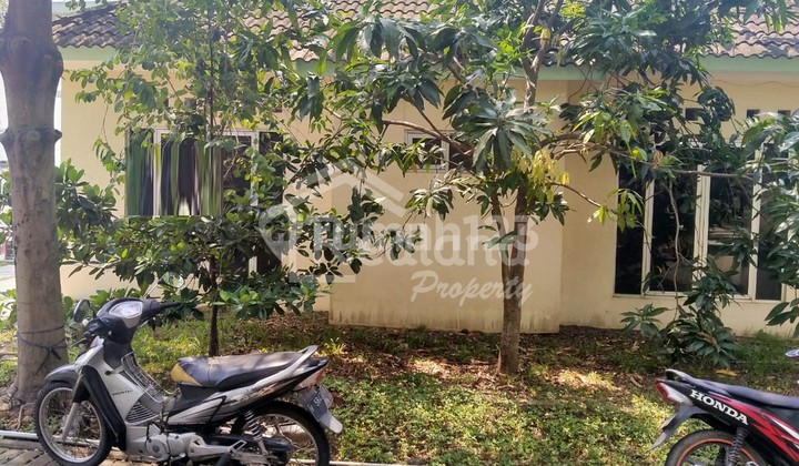 Rumah di Pandan Merah , Sambiroto Semarang ( Tr 2934 ) 2