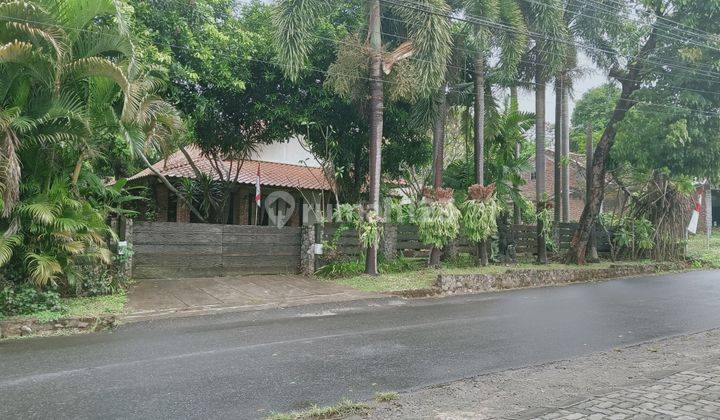 Rumah asri cocok untuk restoran dan kafe dijual murah 2