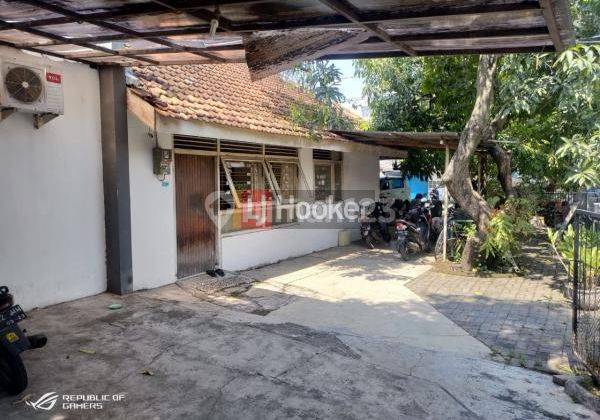 Rumah siap huni di jalan Badak 1