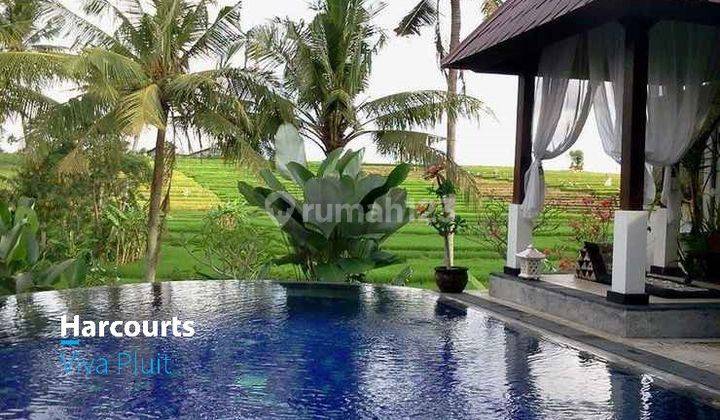 Villa Mustika Juma, Canggu, Bali. Harga Murah Bisa Nego! 1