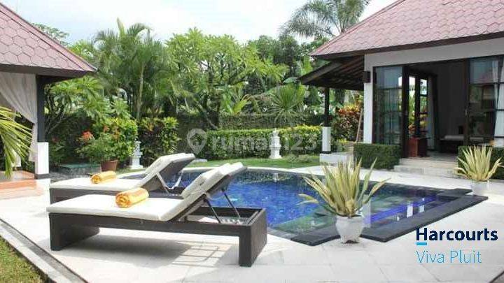 Villa Mustika Juma, Canggu, Bali. Harga Murah Bisa Nego! 2