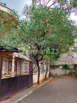 Rumah Bagus Pejaten Barat Area