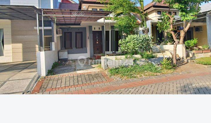 Rumah Siap Huni Bukit Palma Grandia Citraland Surabaya Barat 1