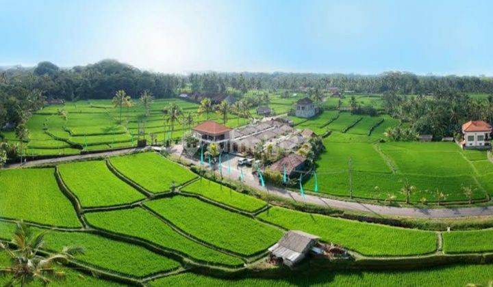 LANGKA! RESORT VILLA TEGALALANG UBUD FULL VIEW SAWAH 1