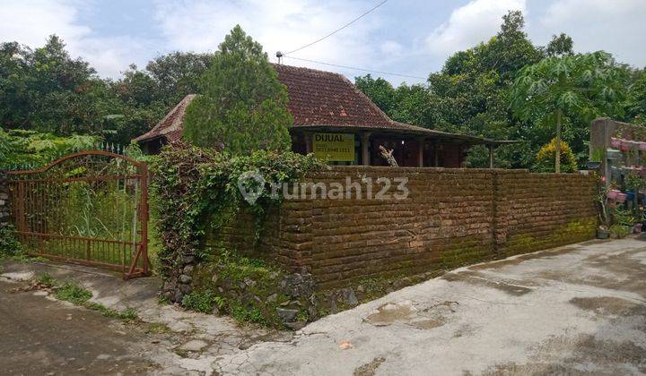 Rumah Jawa Klasik Prambanan Sleman Yogyakarta 1