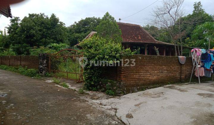 Rumah Jawa Klasik Prambanan Sleman Yogyakarta 2