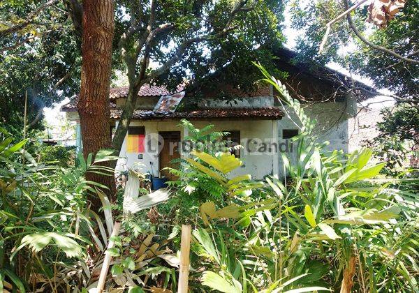 Rumah di Tanjung Sari Dalam Ngesrep Semarang 2