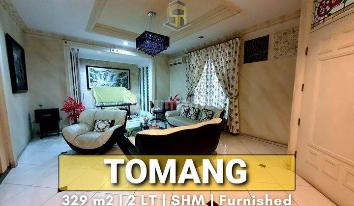 Rumah Mewah TOMANG, Furnished, Parkiran Luas, Jalan Lebar, Akses bagus dan Strategis 1