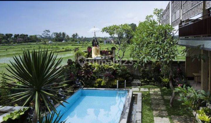 Di jual villa pinggir jln aspal 6meter 1