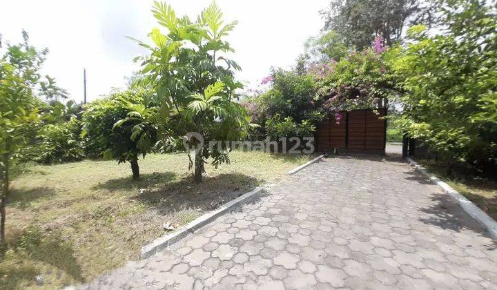 Rumah Luas Maguwo Cocok Untuk Homestay Atau Kantor 2