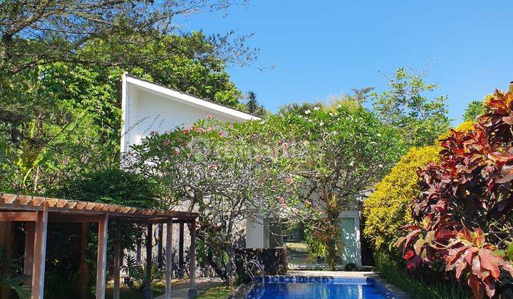 Rumah /Villa Nyaman dgn Swimming Poll jl . Palagan 1