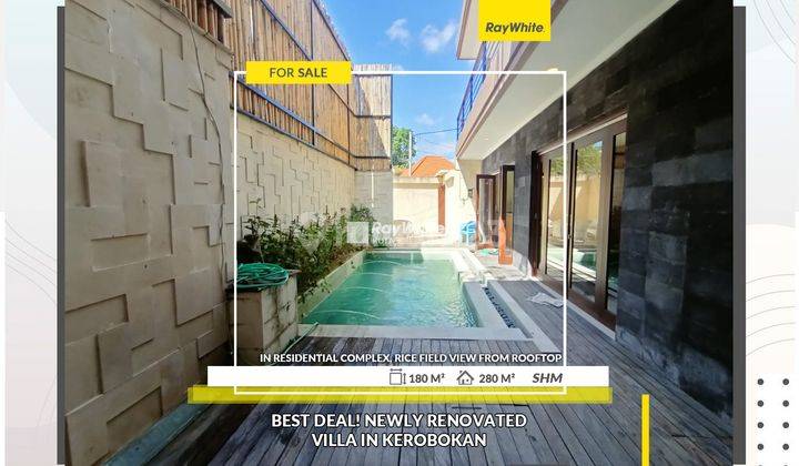 Great Price! Renovated Villa in Kerobokan Bali 1